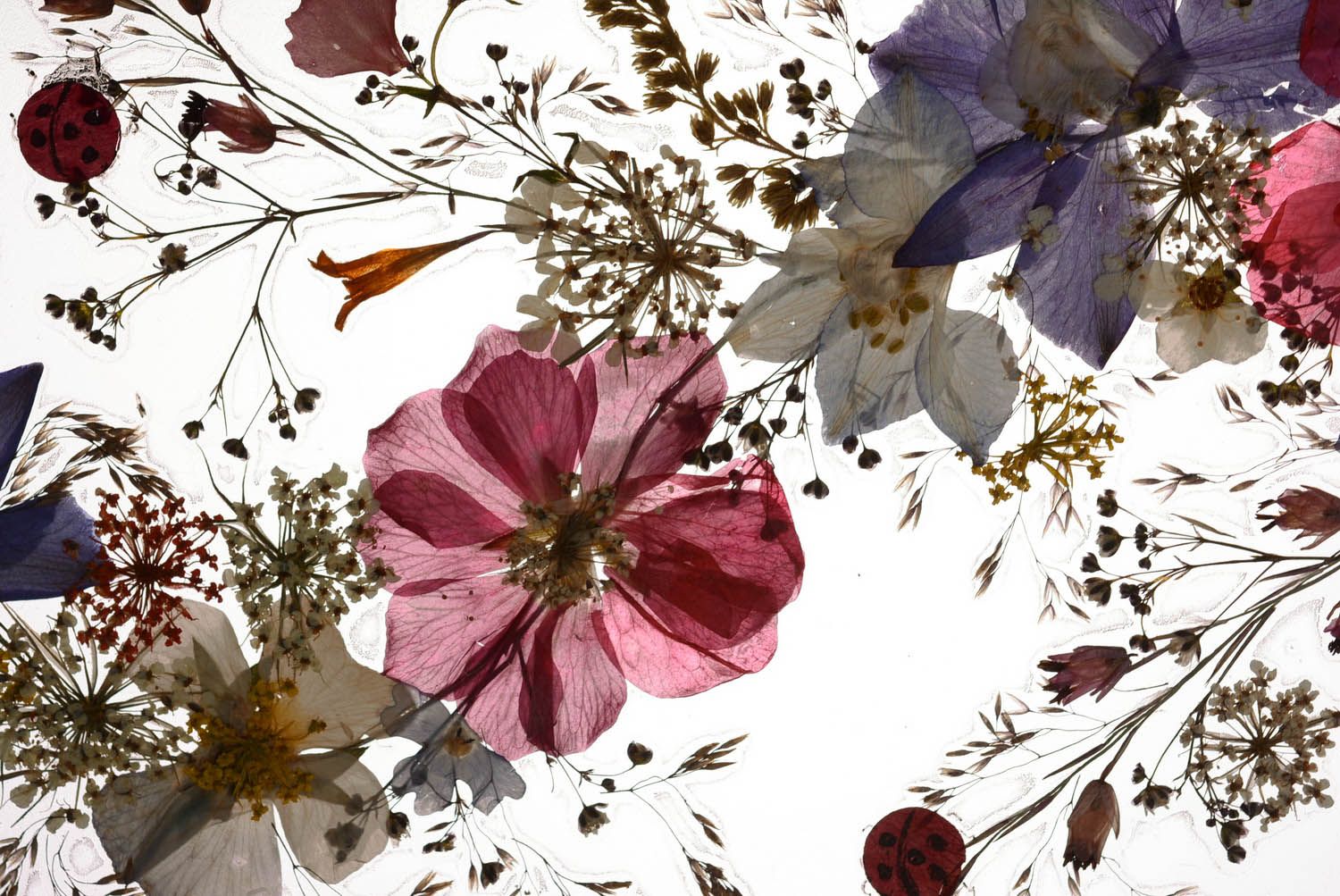 Quadro con fiori secchi fatto a mano quadro insolito decorazione da parete foto 3