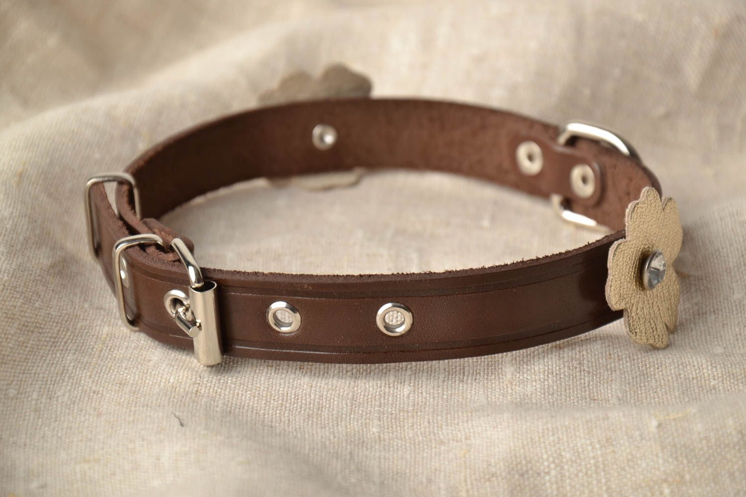 Beautiful brown collar for small dog photo 1