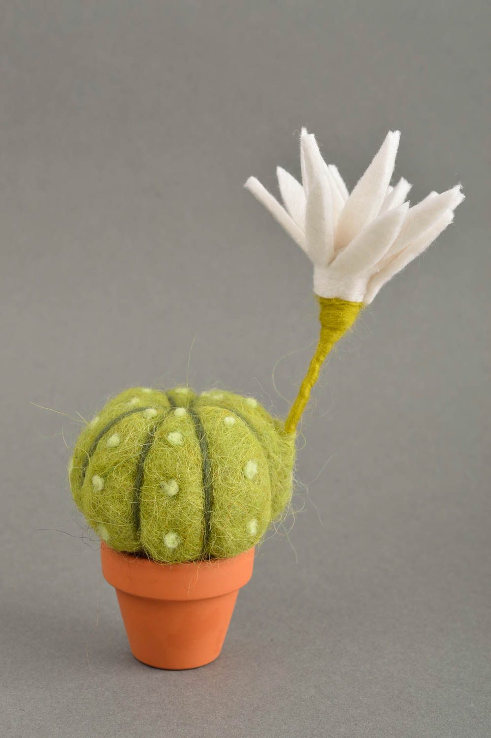 Cactus artificiel fait main Fleur déco laine feutrée pot céramique Déco maison photo 2