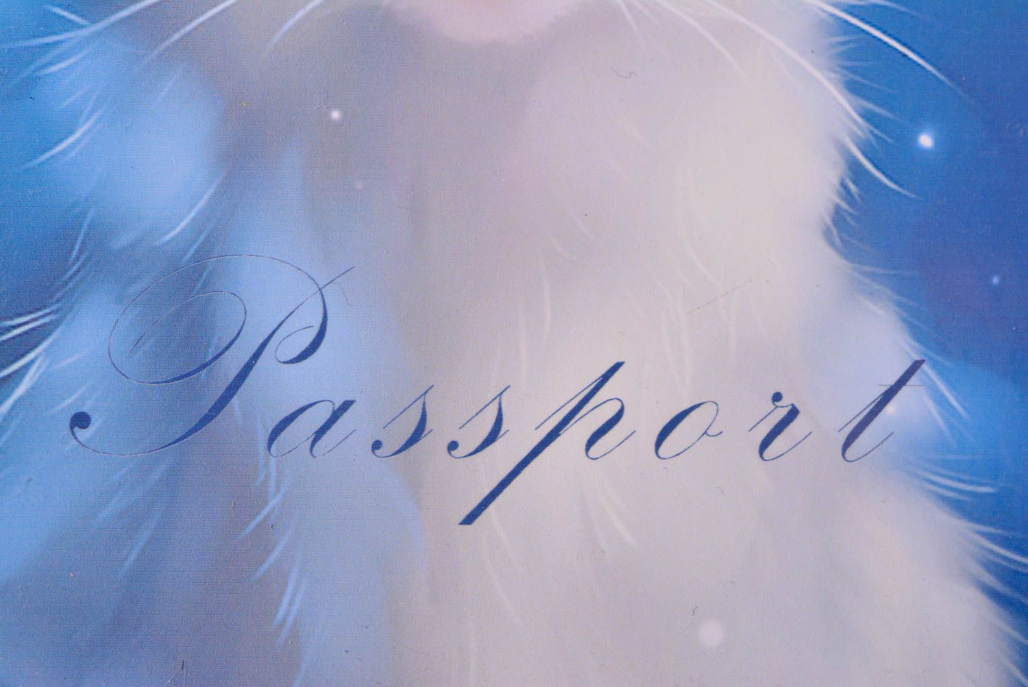 Protège-passeport fait main Étui passeport bleu avec chat blanc Cadeau original photo 3