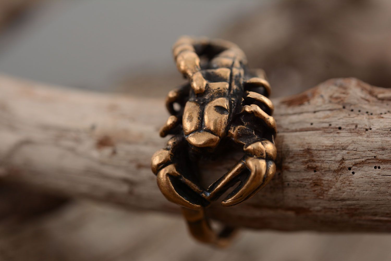 Bronze ring Scorpio photo 2
