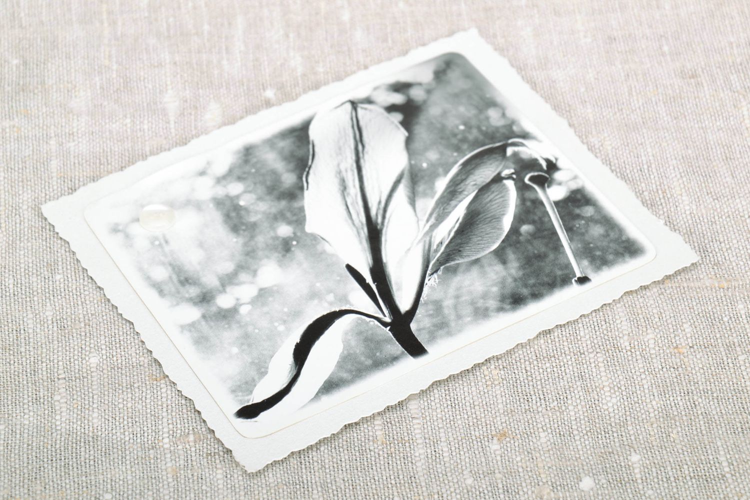 Carte de vœux artisanale en noir et blanc photo 3