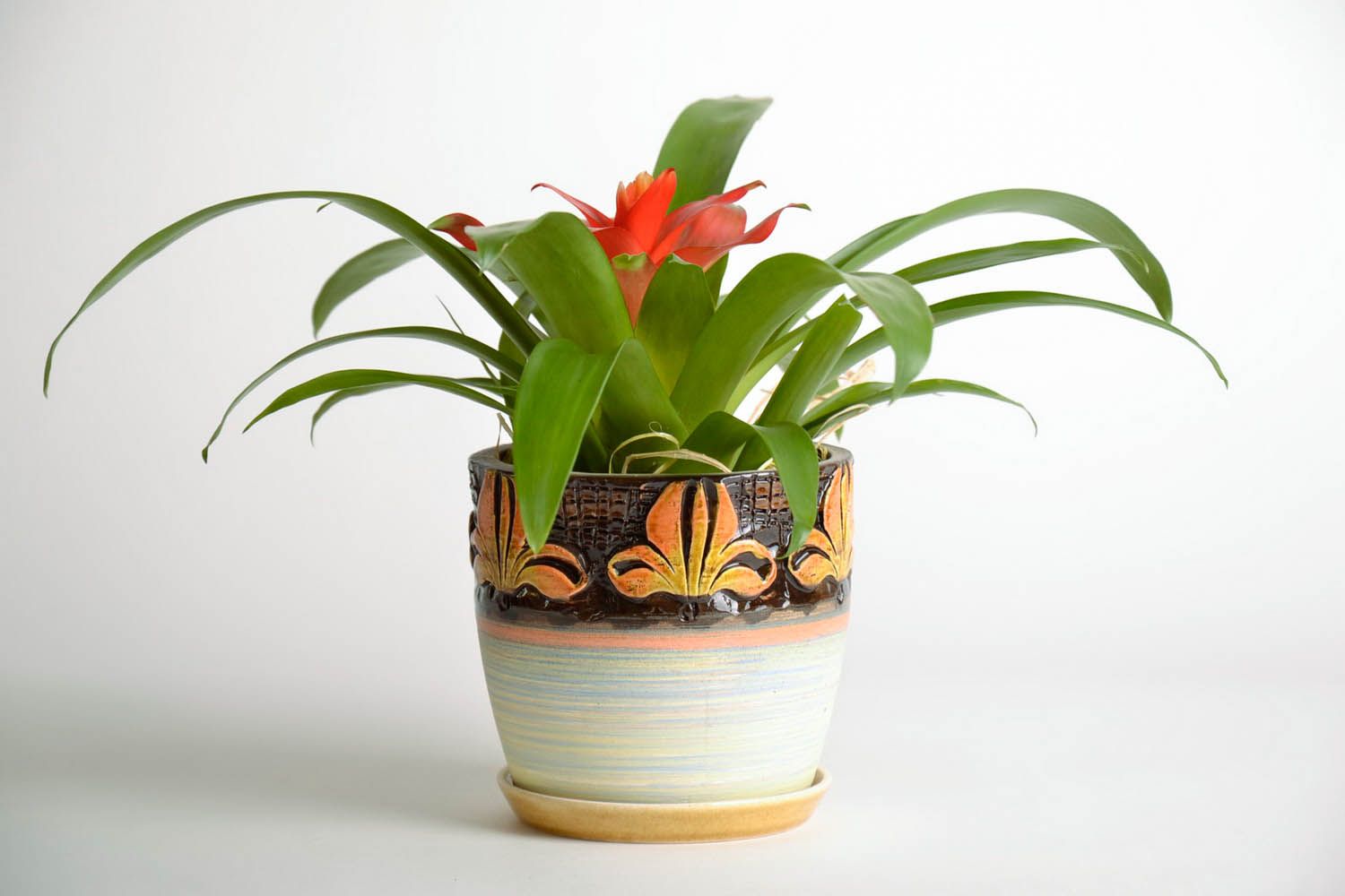 Ceramic pot for window plants photo 2