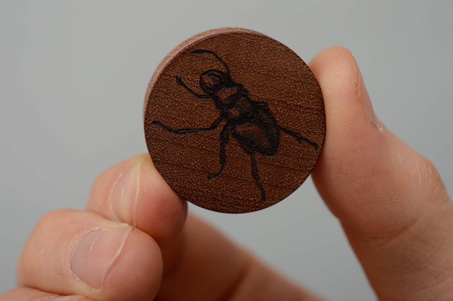 Beautiful wooden ear plugs with engraving Beetles photo 4