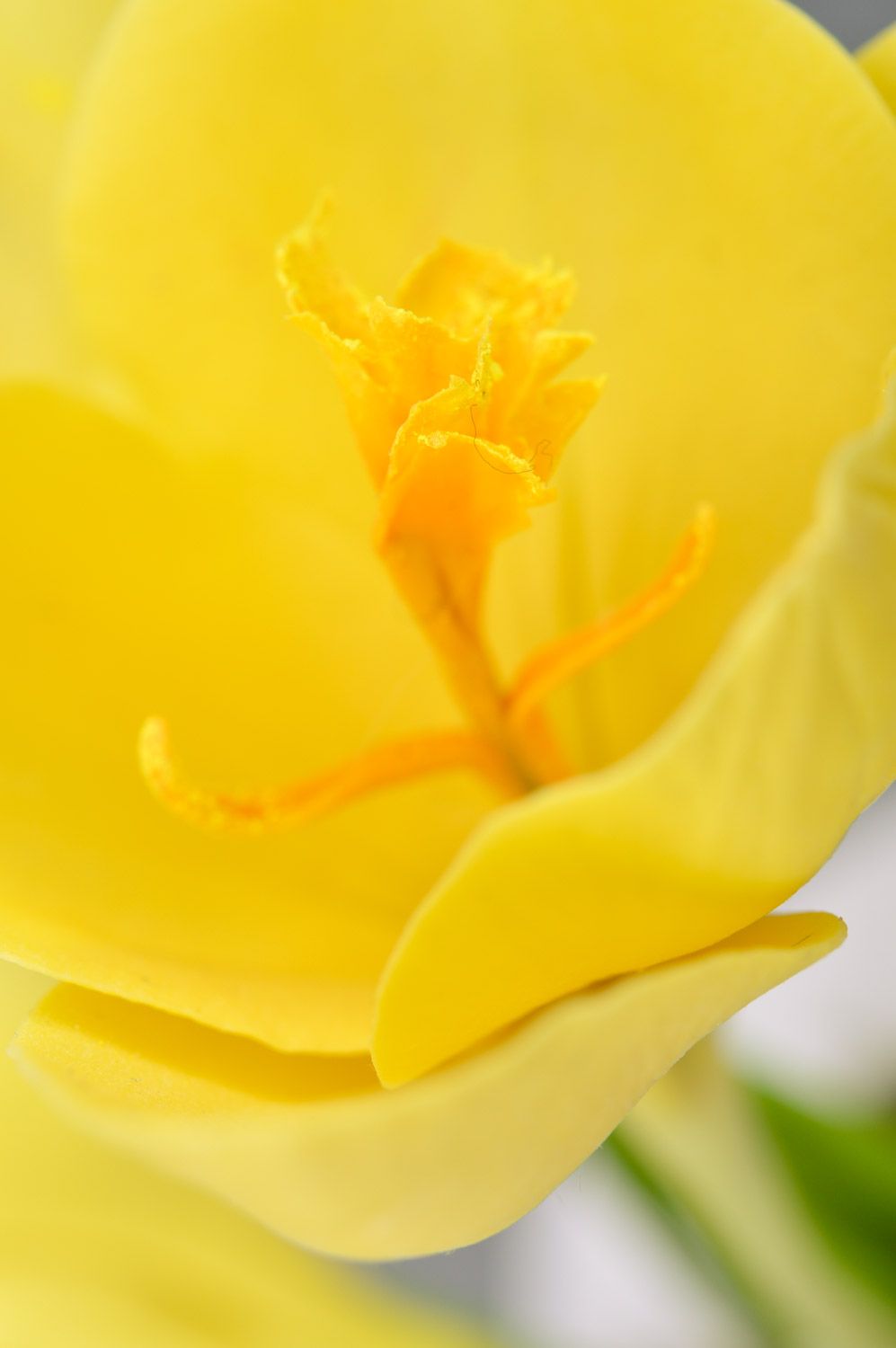 Fleur de crocus jaune artificielle en pâte polymère décorative faite main photo 5