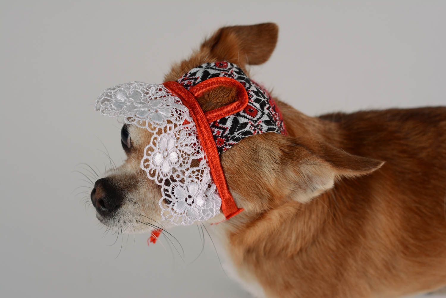 Gorro para cães feito de malha e decorado com um laço branco frontal Motivos Nacionais foto 4