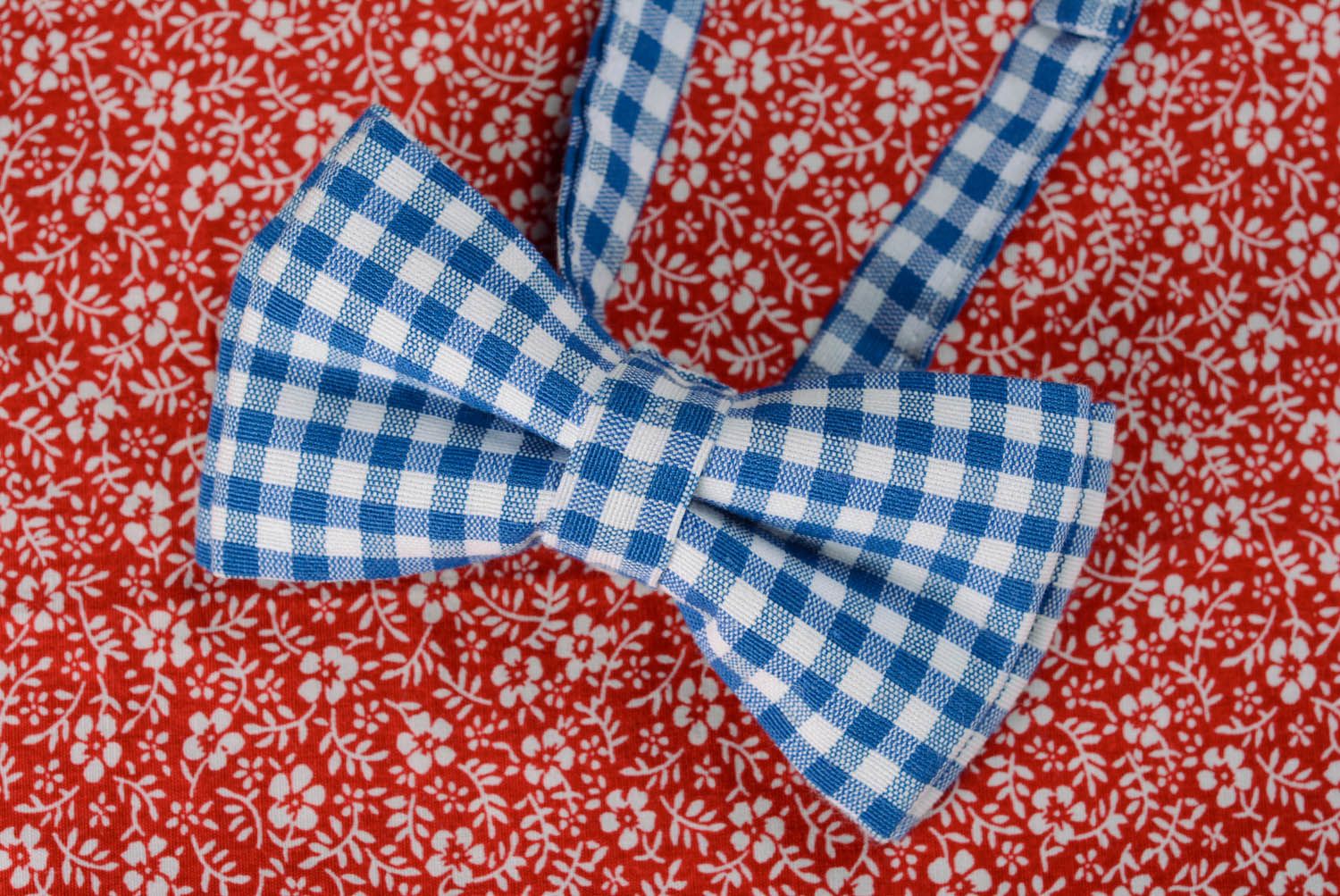 White and blue checkered bow tie photo 3