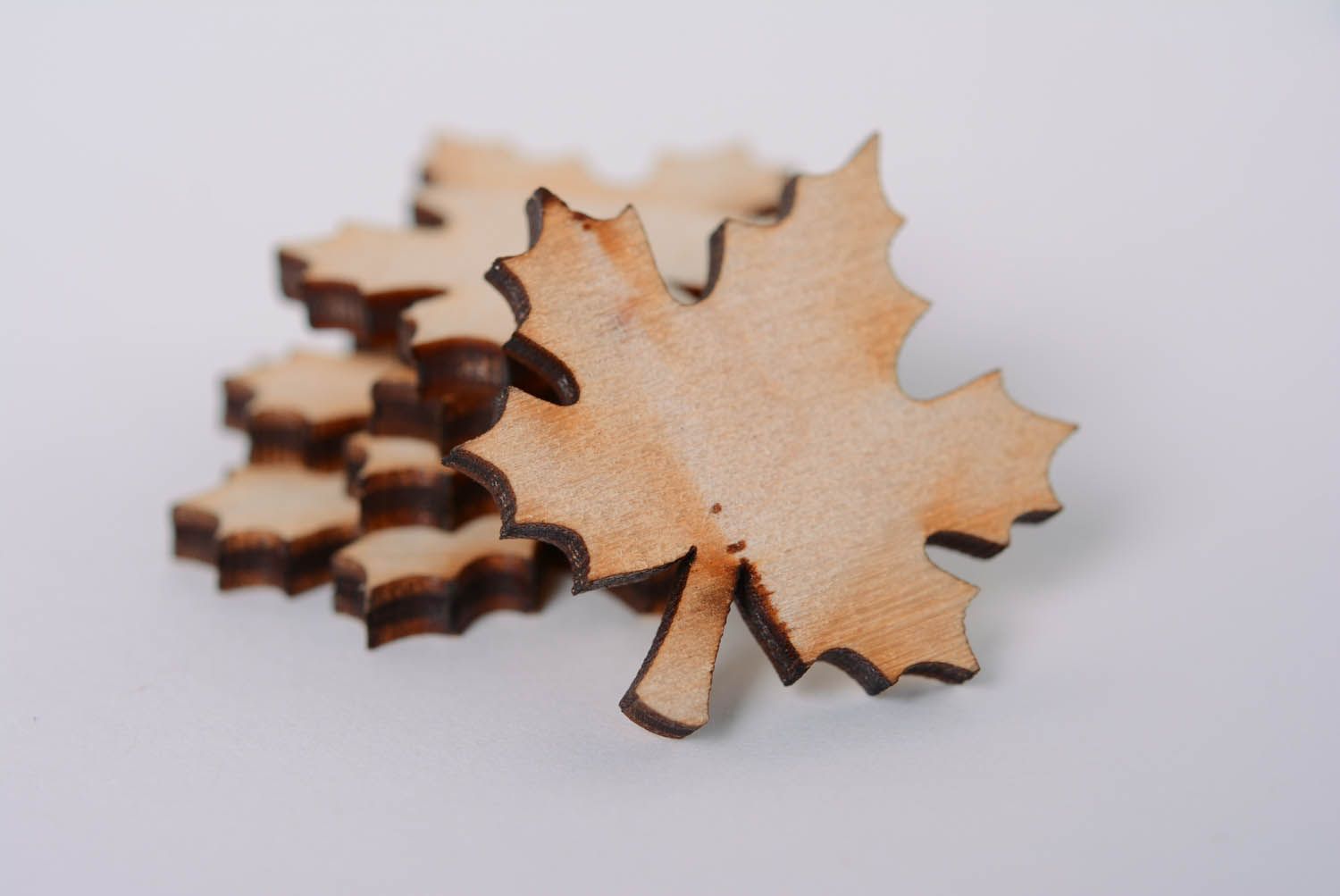 Craft blanks in the shape of maple-leaves photo 5