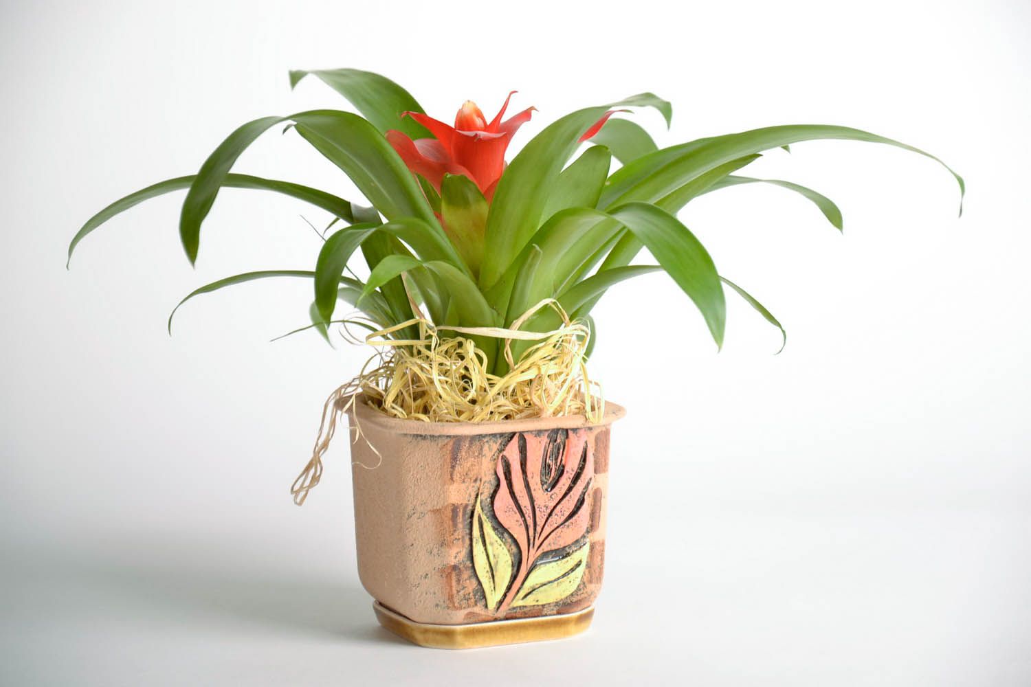 Vaso in ceramica per piante fatto a mano vaso di coccio per fiori con sottovaso  foto 1
