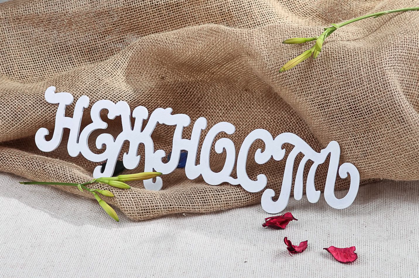 Wooden chipboard lettering Tenderness photo 4