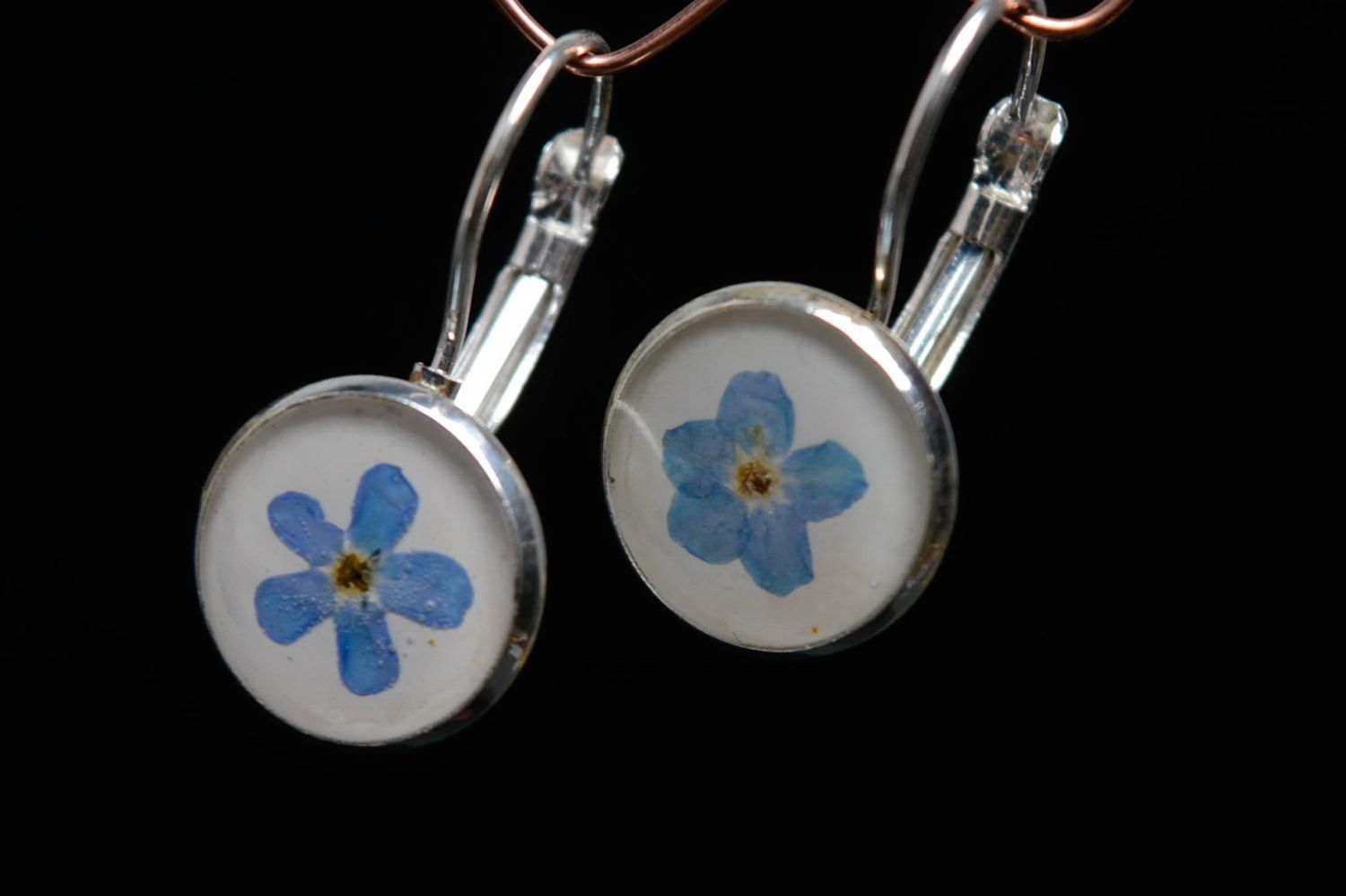 Earrings with natural forget-me-not flowers coated with epoxy resin photo 3
