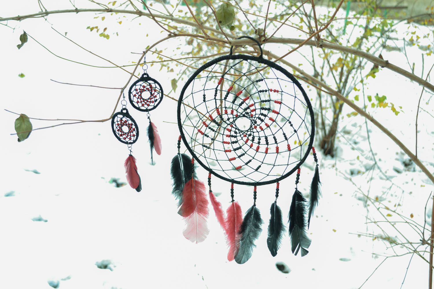 Home charm Dreamcatcher and earrings photo 5