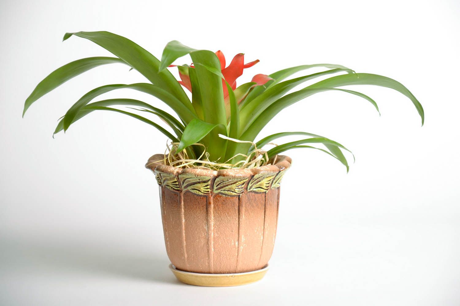Ceramic flowerpot Leaf photo 1