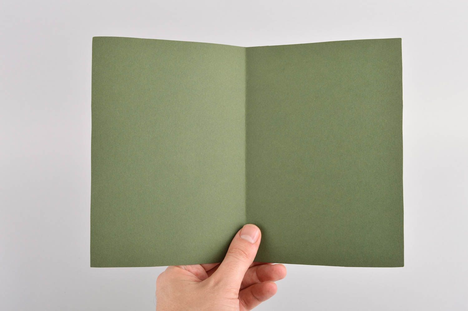 Carte de voeux verte faite main avec cocon de ver à soie Petit cadeau design photo 5