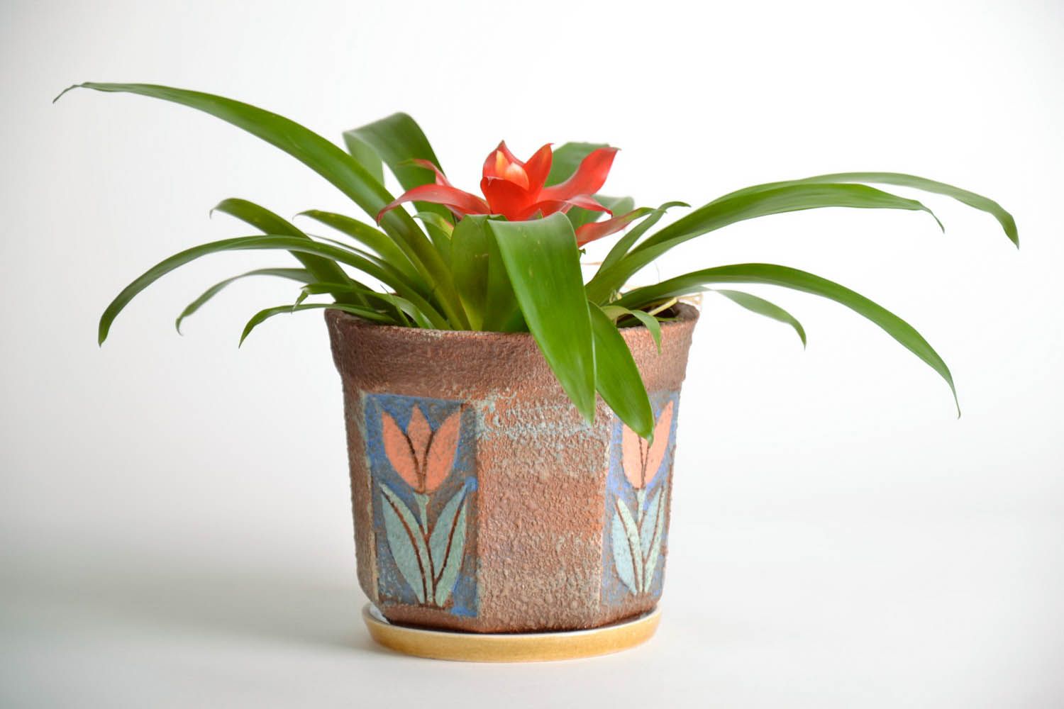 Pot de fleurs en céramique avec peinture photo 2