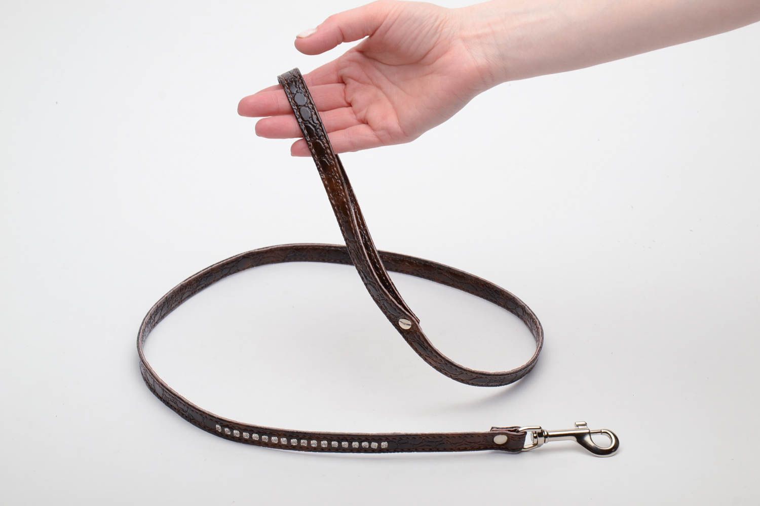 Homemade leash for pets photo 5