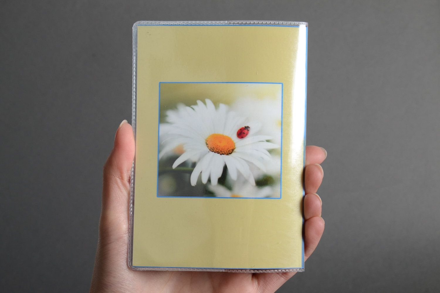 Cute handmade plastic passport cover with photo print of large chamomile  photo 5