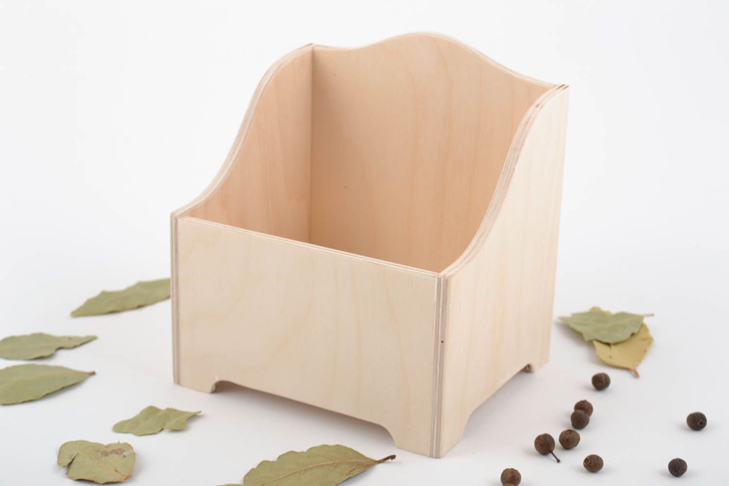 Boîte en bois brut clair pour pots à épices faite main à décorer ou peindre photo 1