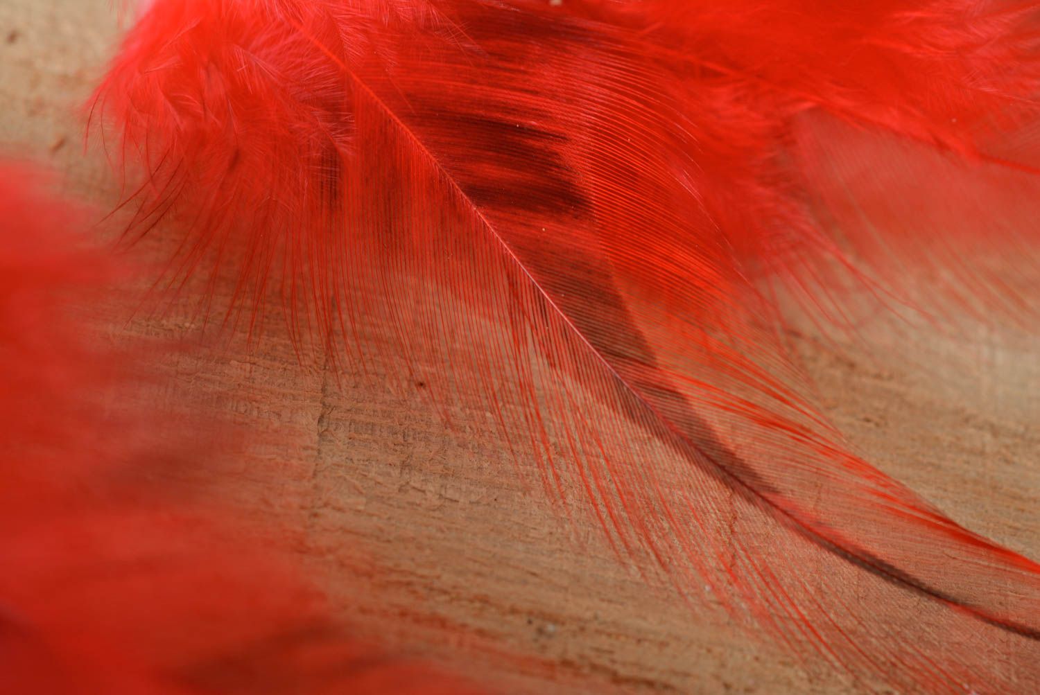 Boucles d'oreilles plumes rouges Bijou fait main pendantes longues Cadeau femme photo 5