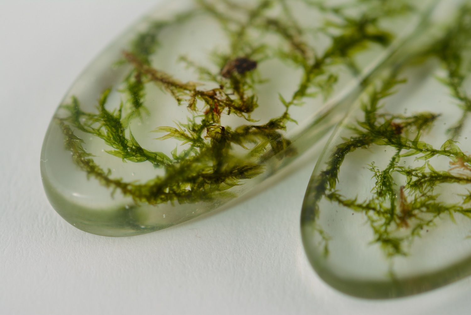 Handmade drop earrings with moss coated with epoxy resin photo 3