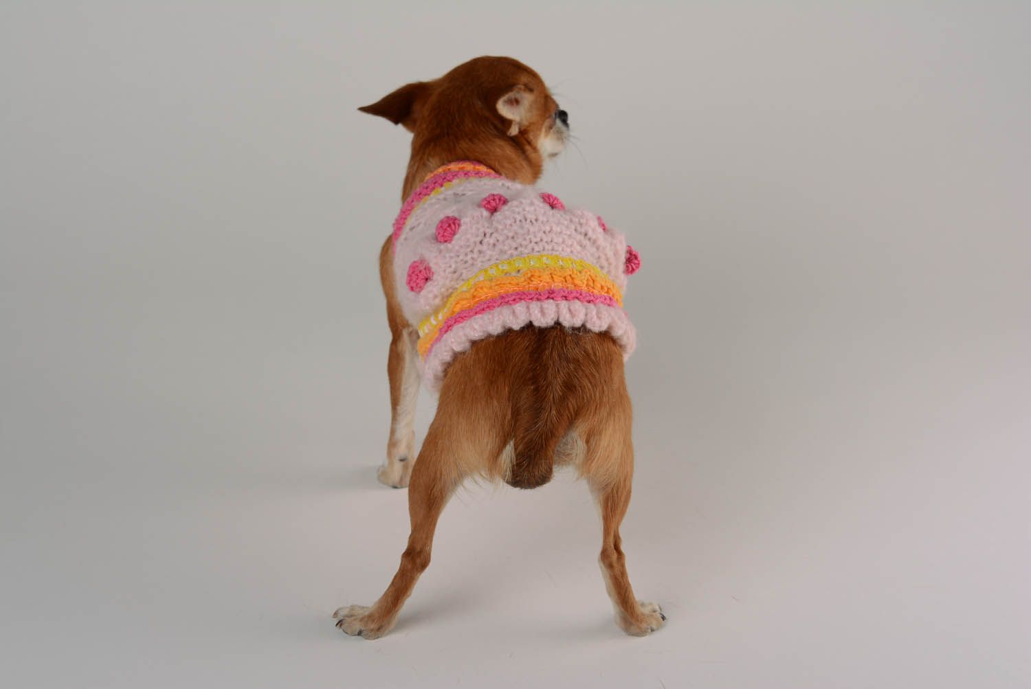 Платье для собак Малиновый десерт фото 5