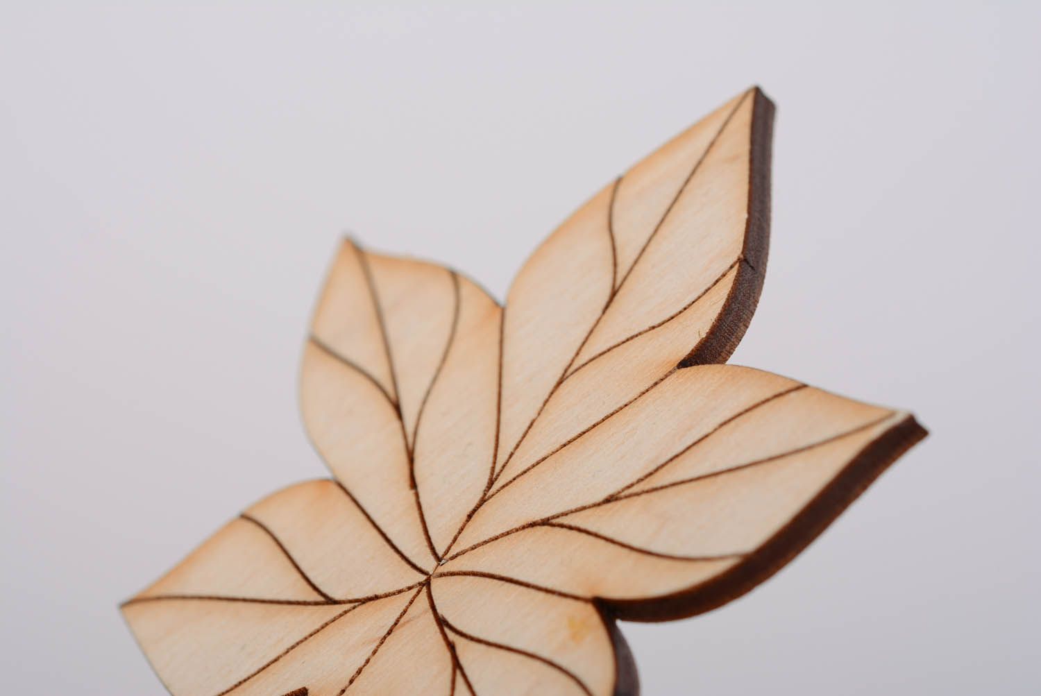 Ahornblatt aus Holz foto 5