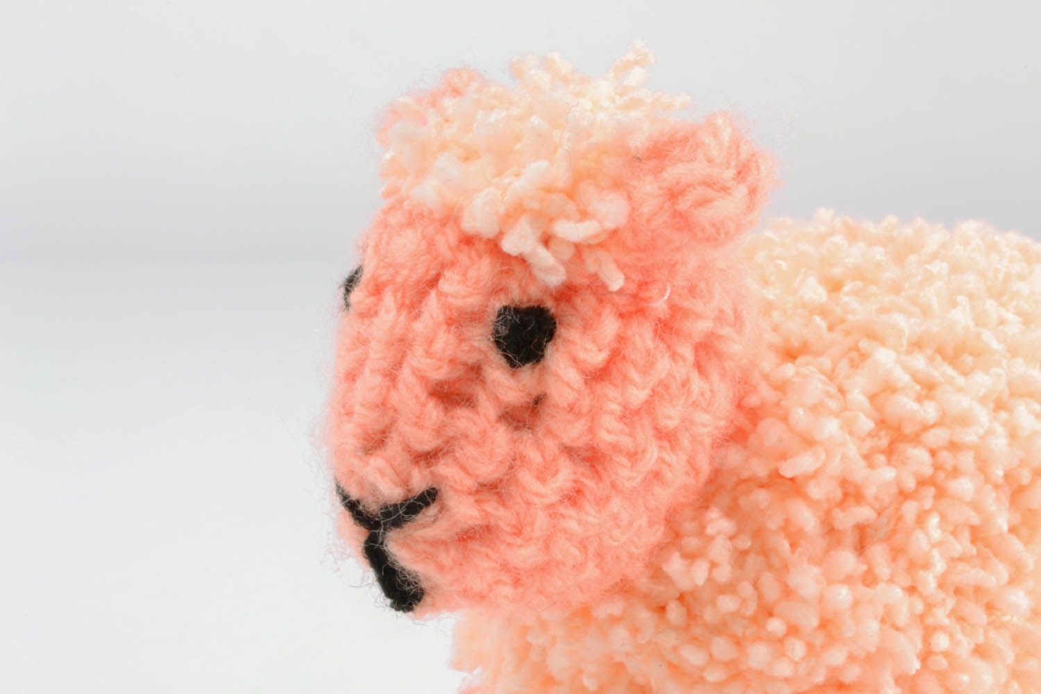 Розовая овечка фото 2