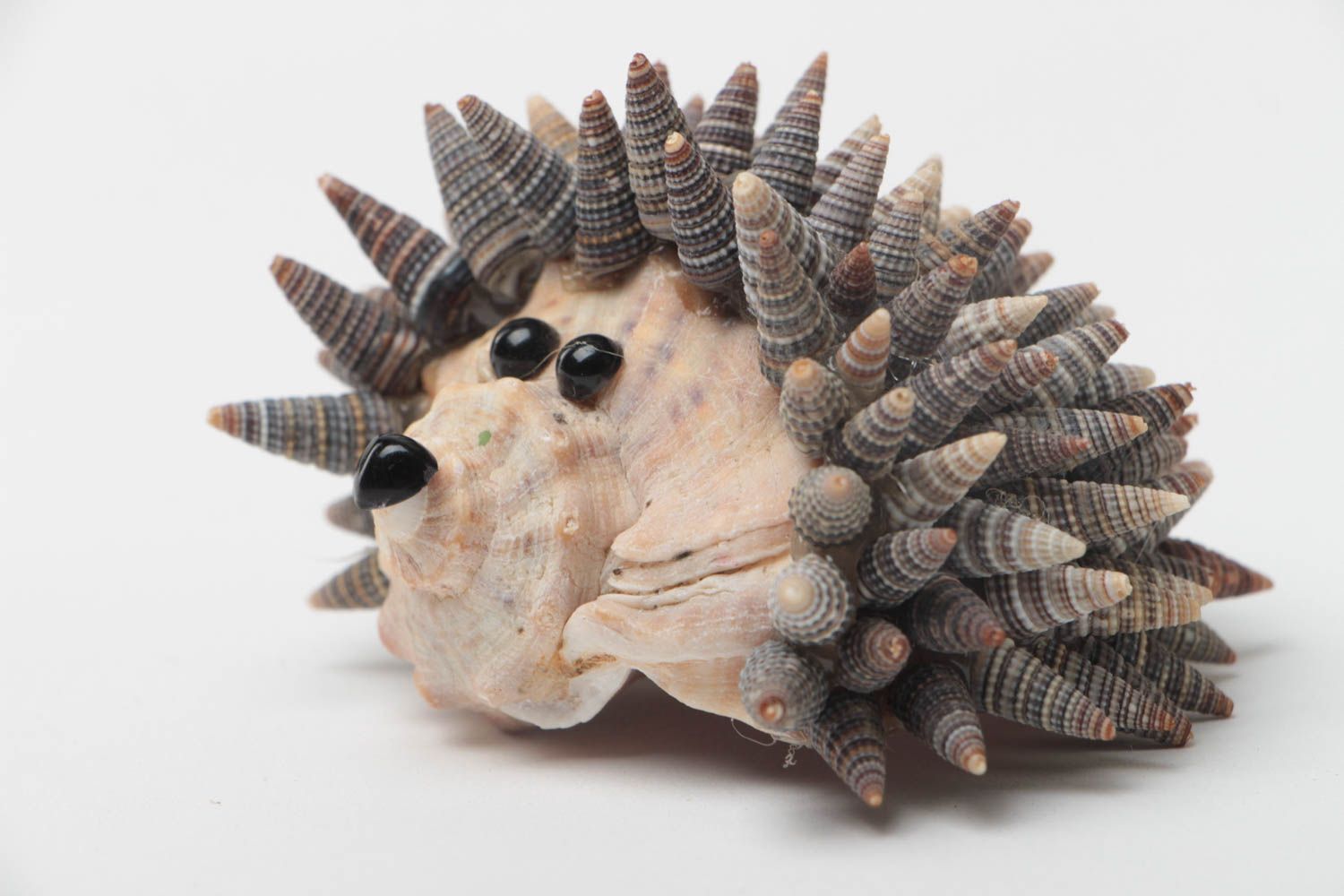 Figura original artesanal con forma de erizo de conchas de mar decorativo foto 2