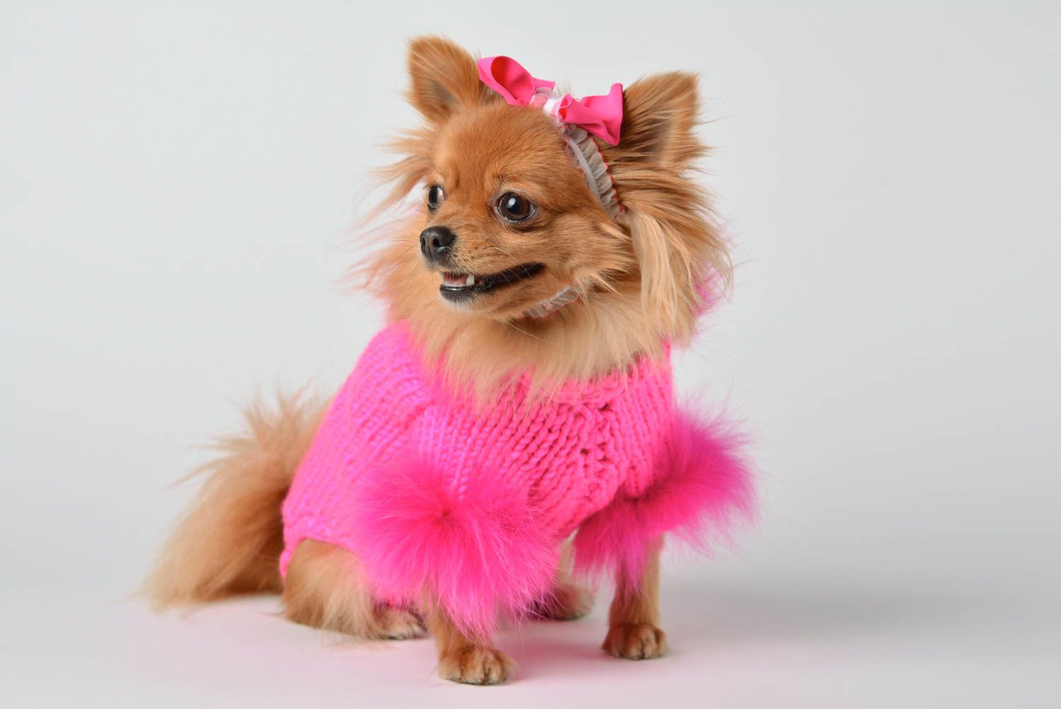Handmade unusual bright clothes for pets designer accessory knitted suit for dog photo 1