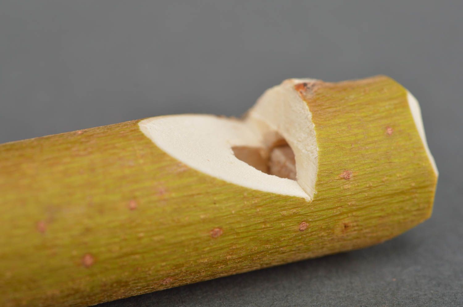 Деревянная свистулька ручной работы вырезанная из целой веточки вербы Тотем фото 3