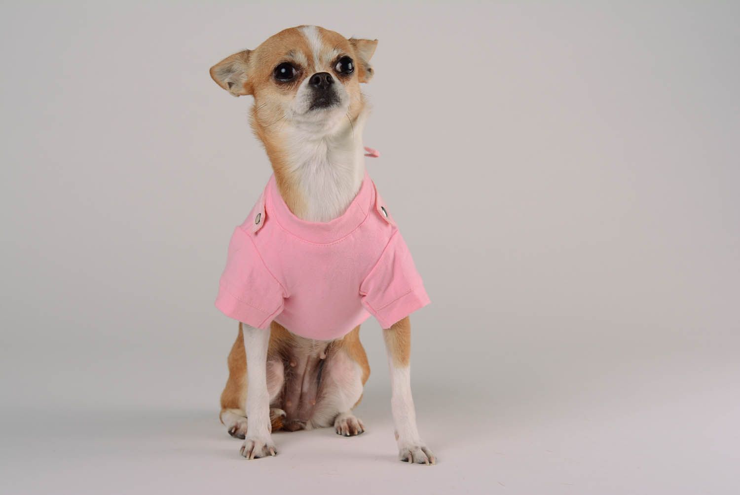 T-shirt pour chien avec sac à dos rose photo 4