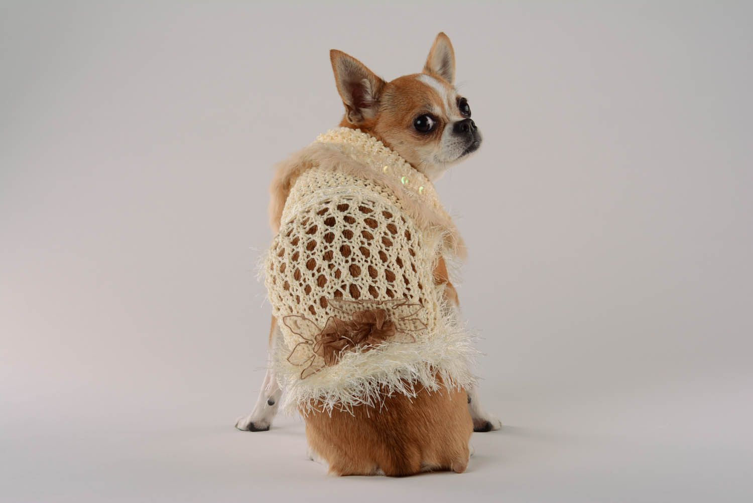 Robe pour chien en laine et mohair Colibri photo 5