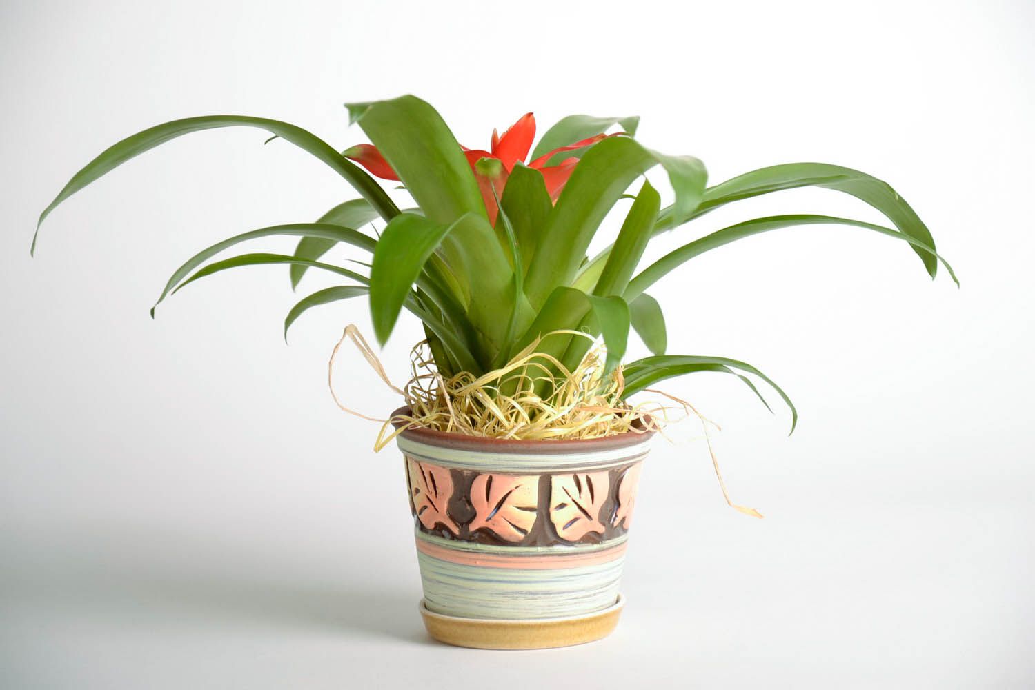 Vaso fiori fatto a mano vaso da fiori in ceramica attrezzi per giardinaggio
 foto 1