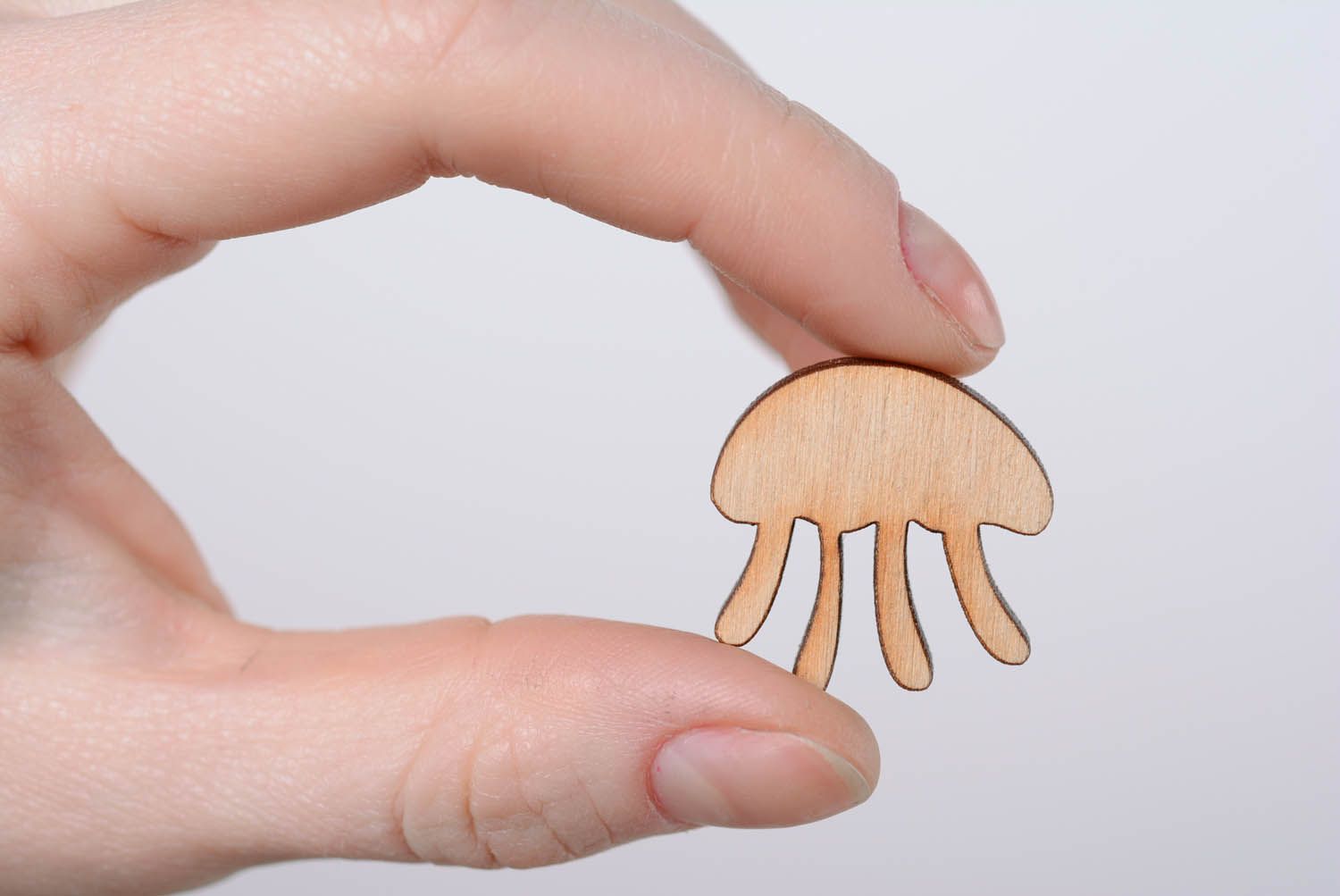 Homemade chipboard Jellyfish photo 5
