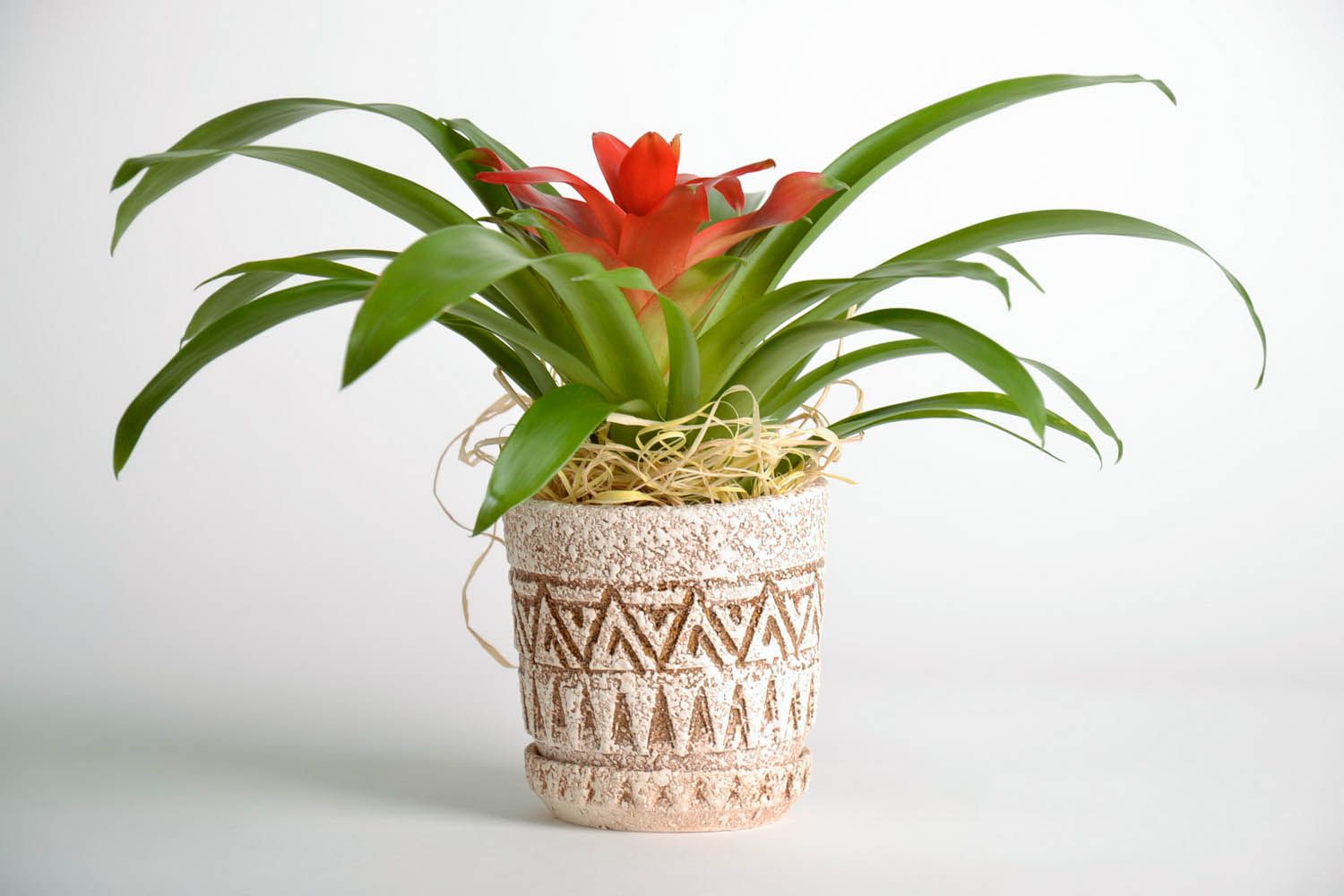 Pot de fleurs en céramique avec ornement géométrique photo 2