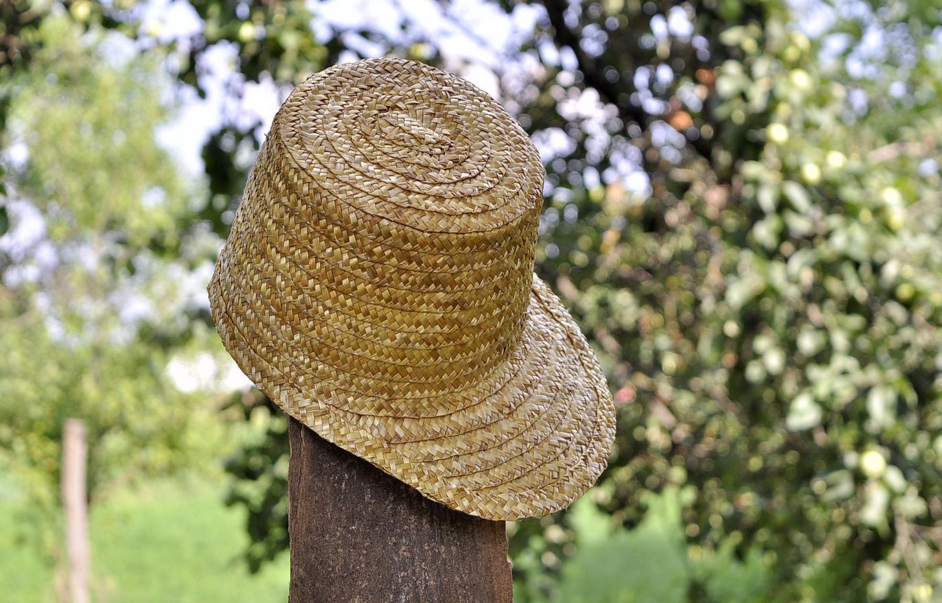 Men's peaked cap made of straw photo 5
