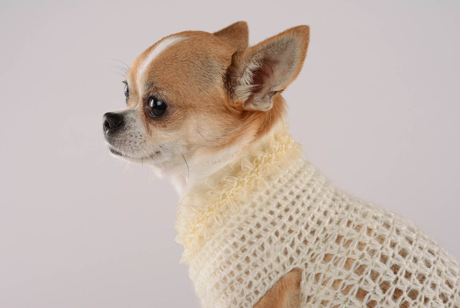 Hand knitted dress for a dog Waffles and lace photo 2