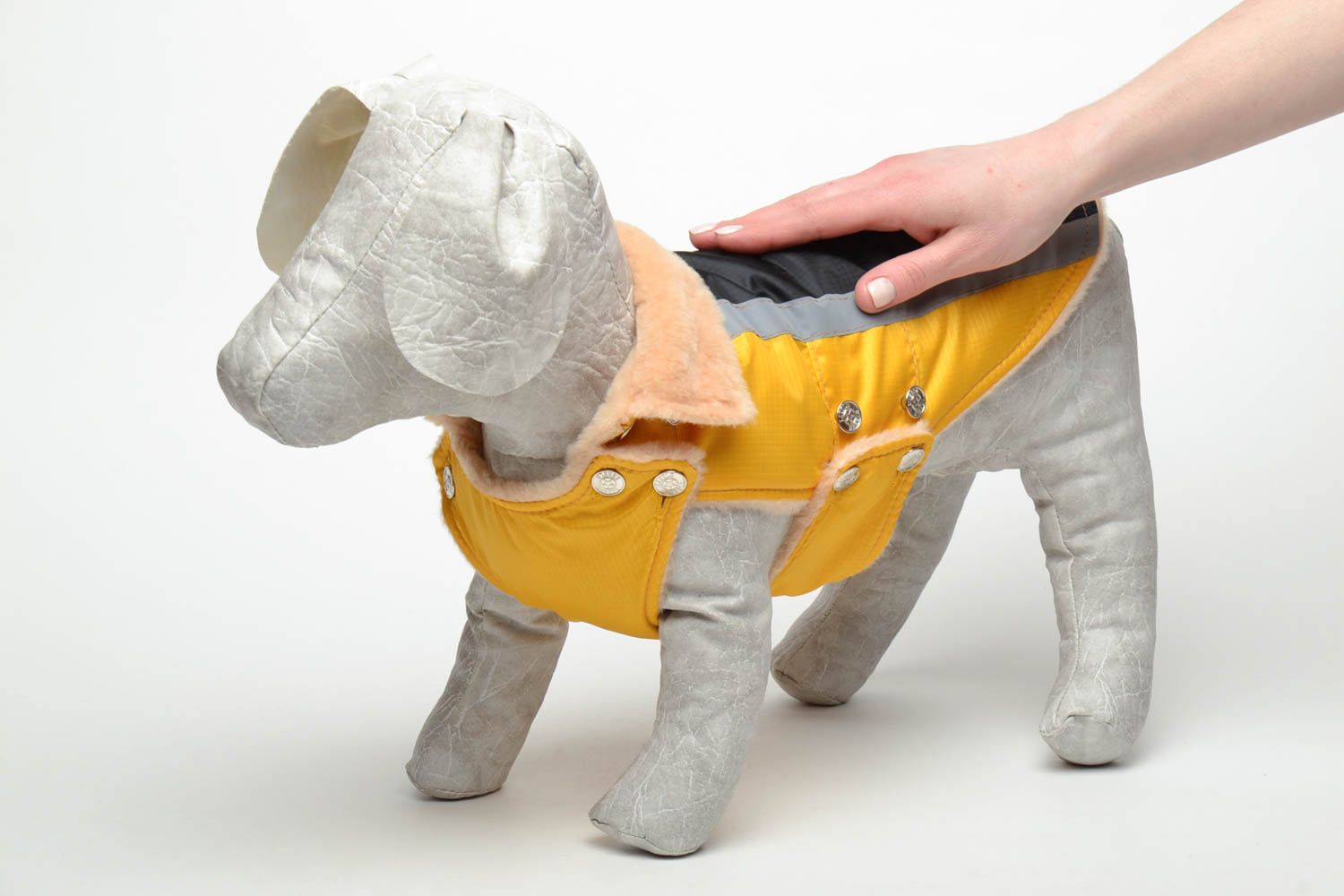 Water-proof clothing for dogs photo 2
