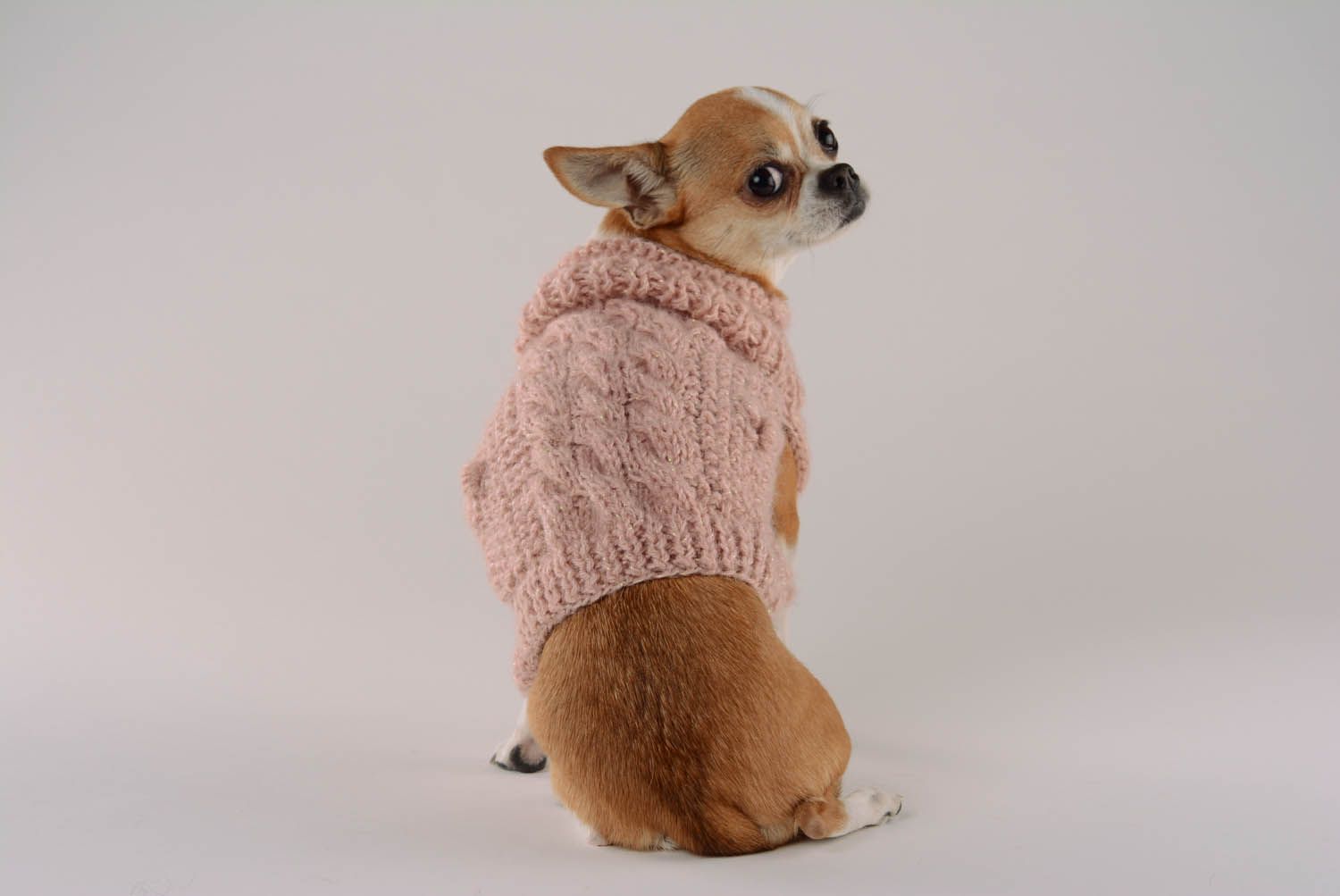 Dog sweater Cozy evening photo 5