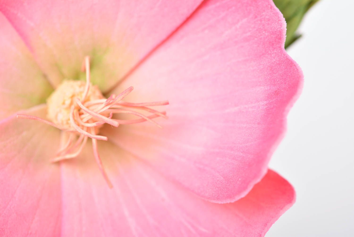 Брошь ручной работы яркий нежный цветок из фоамирана дизайнерское украшение фото 5