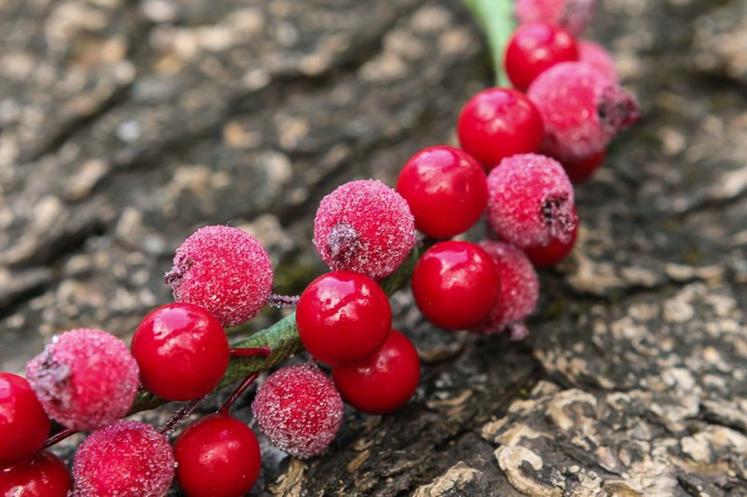 Wreath headband Cranberry in sugar photo 1