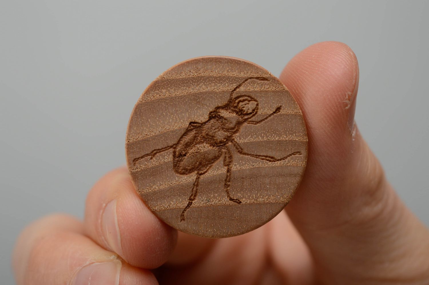 Handmade wooden plug earrings Stag-beetle photo 5