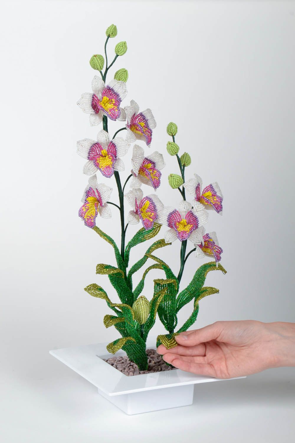Beaded orchid photo 5