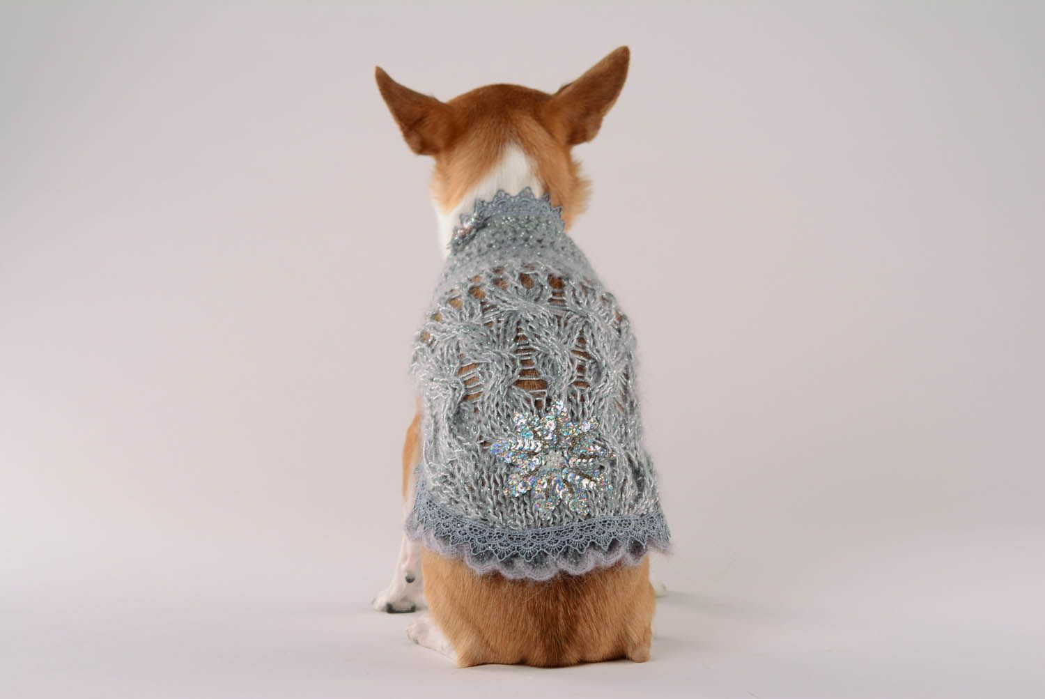 Dress for dogs Silver temptation photo 4
