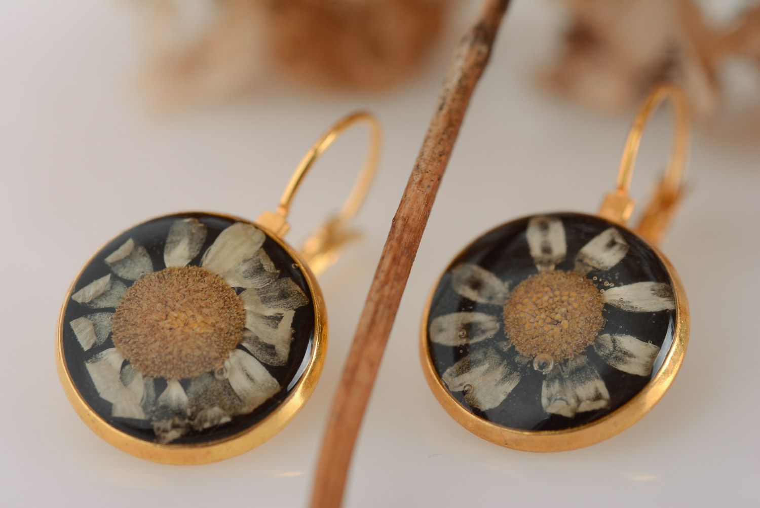 Handmade round black dangle earrings with chamomiles coated with epoxy resin photo 1