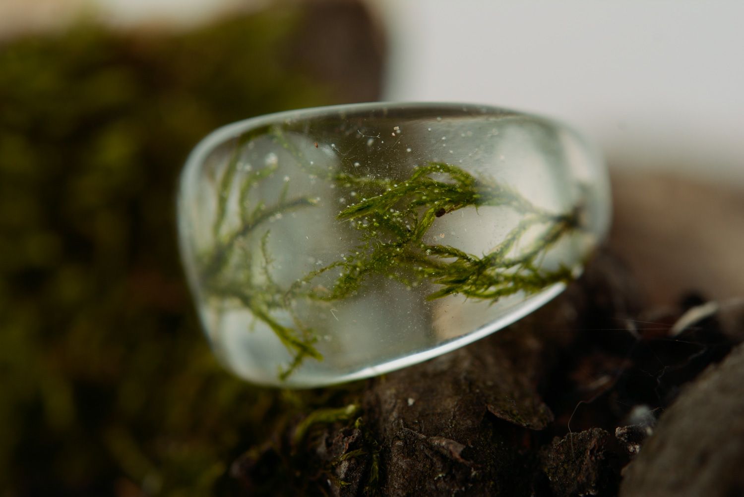 Large transparent handmade seal ring with moss coated with epoxy photo 3