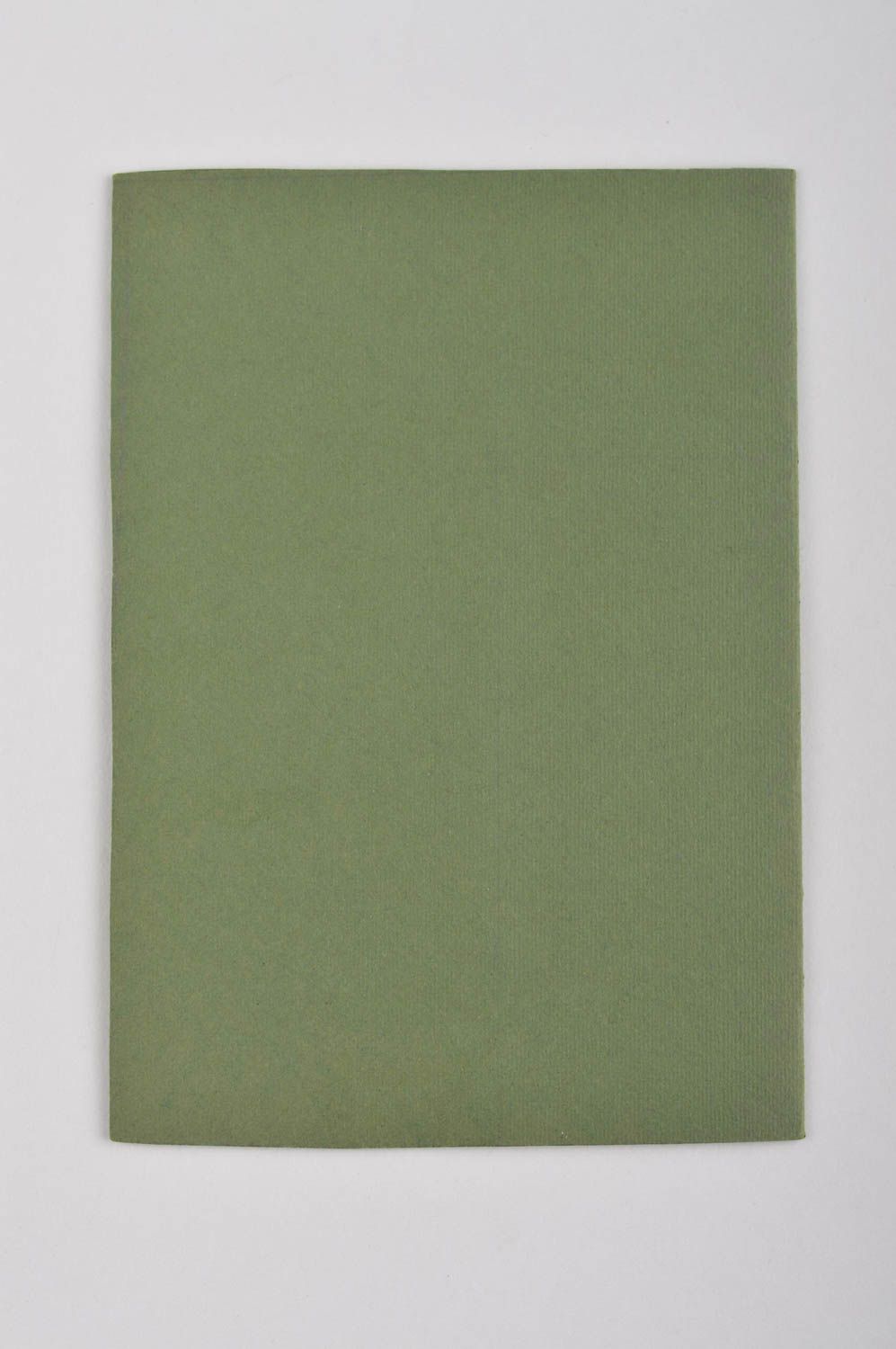 Carte de voeux verte faite main avec cocon de ver à soie Petit cadeau design photo 4