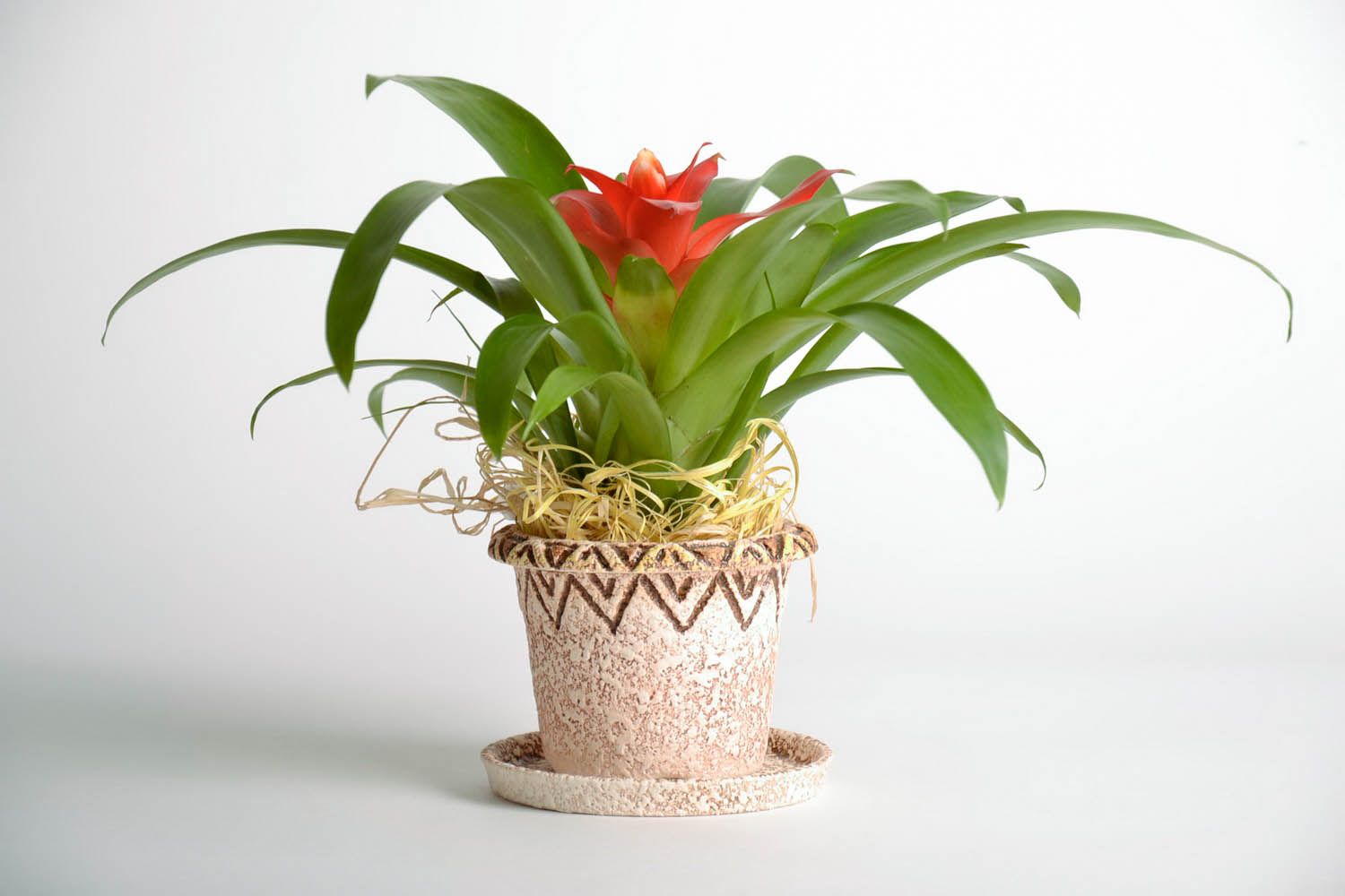 Vaso de cerâmica para flores foto 1
