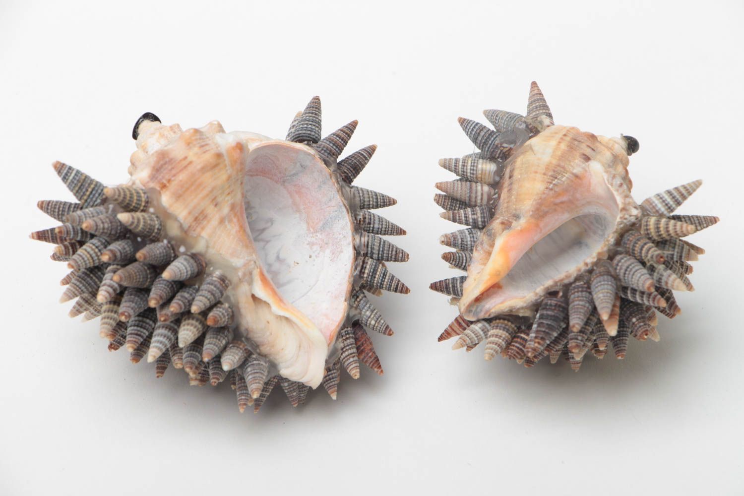 Set of 2 handmade designer unusual figurines created of seashells Hedgehogs eco photo 4