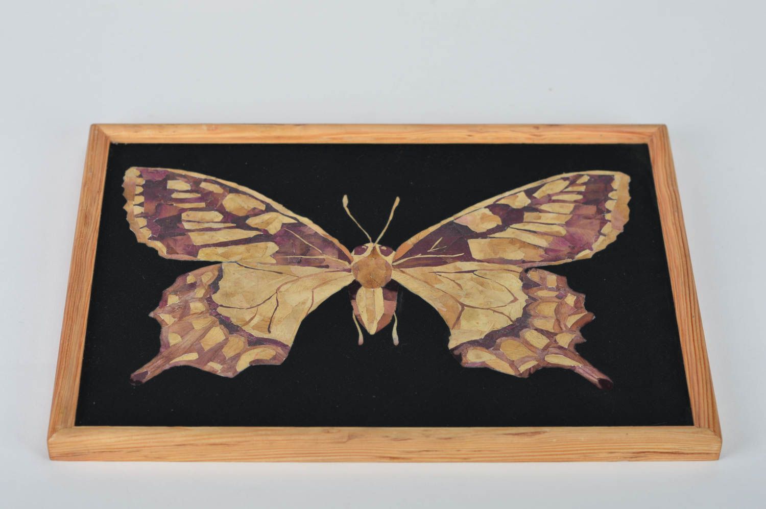 Cuadro de materiales naturales artesanal negro Mariposa original de pared Macaón foto 1